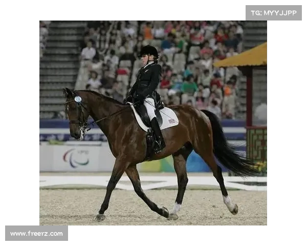 马术比赛精彩纷呈展现骑术与速度的完美结合挑战极限与勇气的赛场对决