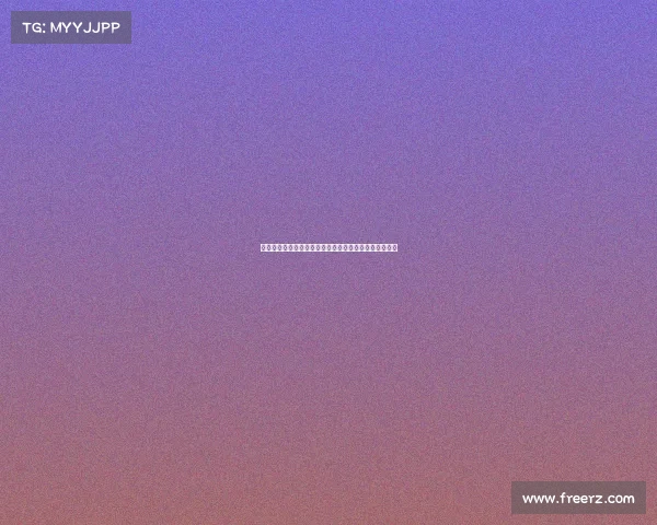 面对四份合同如何选择最适合你的那一份分析与决策技巧